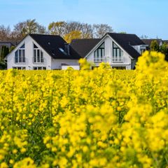 Bauen: Einfamilienhäuser im Süden von Essen