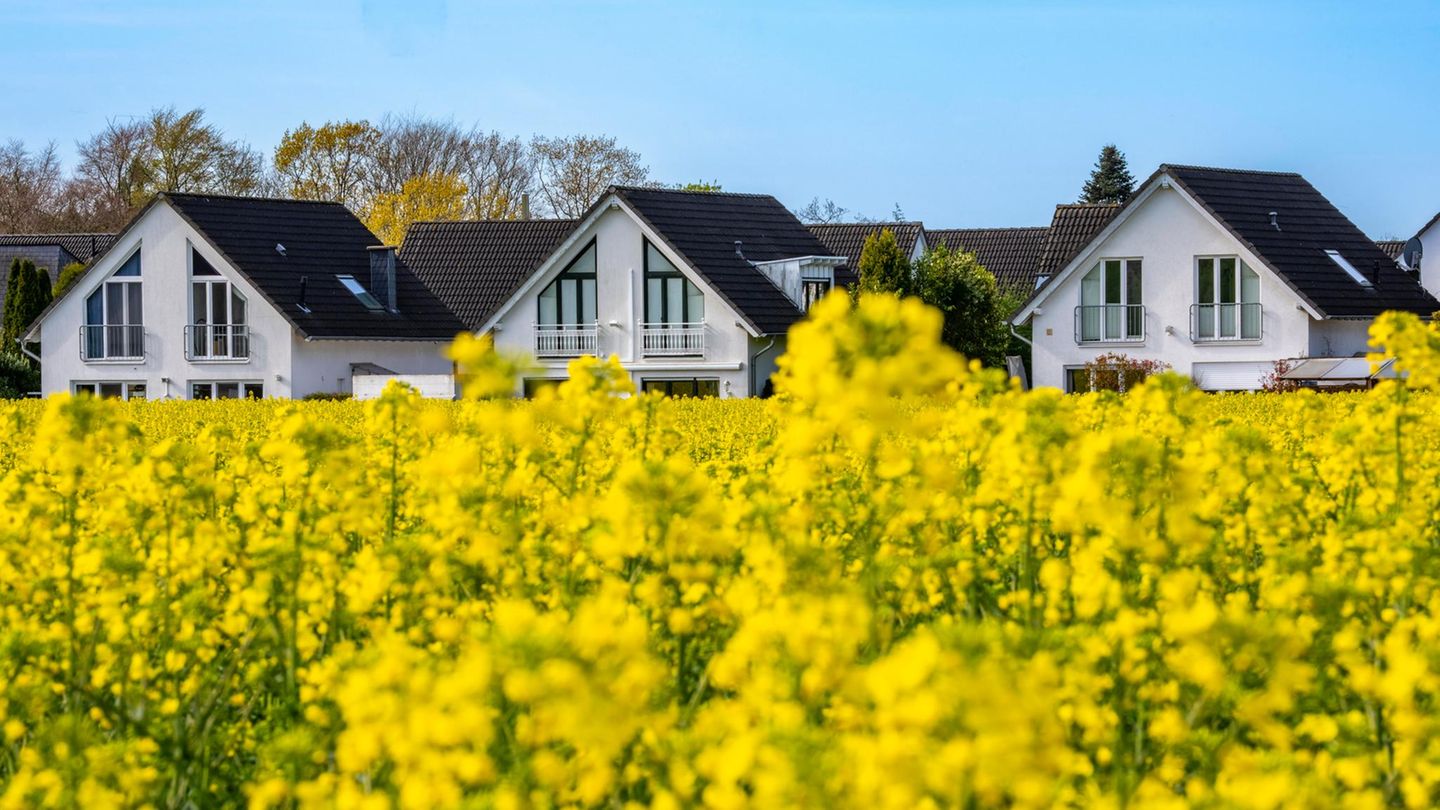 Bauen: Einfamilienhäuser im Süden von Essen