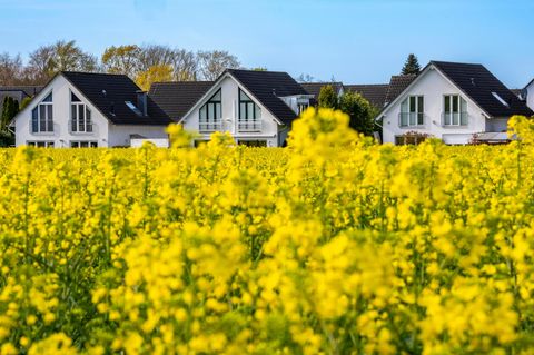 Bauen: Einfamilienhäuser im Süden von Essen
