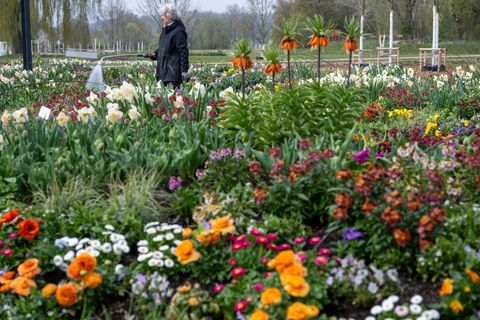 Es grünt und blüht rechtzeitig für die Landesgartenschau. Foto: Stefan Puchner/dpa