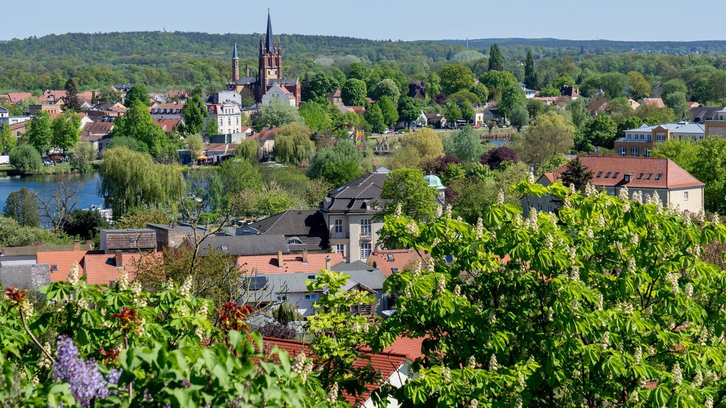Am Wochenende startet das Baumblütenfest in Werder (Havel). (Archivbild) Foto: Soeren Stache/dpa