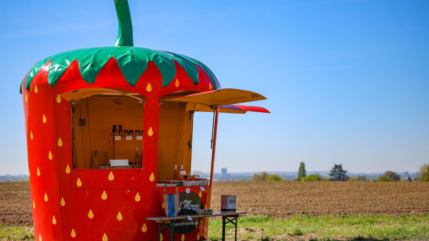 Ein mobiler Verkaufsstand in der Form einer Erdbeere steht am Rande eines Parkplatzes in Dortmund. Foto: Christoph Reichwein/dpa