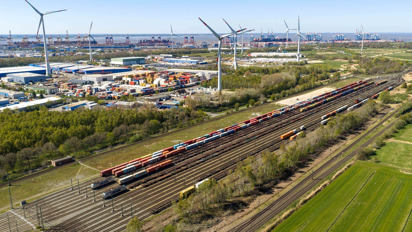 Der Bahnhof soll um sieben zusätzliche Vorstellgleise erweitert werden. Foto: Sina Schuldt/dpa