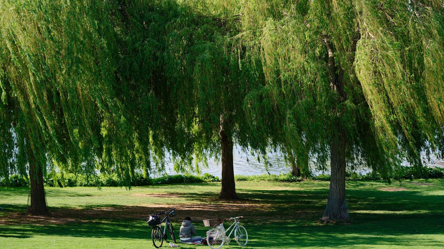 Wetter: Sonniger Wochenendstart - wann es trotzdem die Jacke braucht
