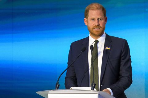 Prinz Harry in der Ukraine