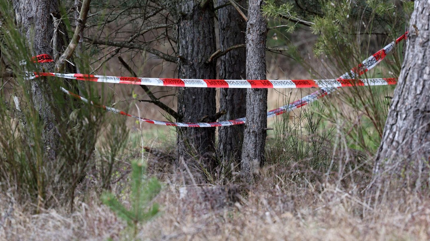 Skelettfund: Gefundene Skelettteile bei Kargow identifiziert