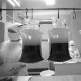 Beutel mit Thrombozytenkonzentrat in einem Moskauer Krankenhaus