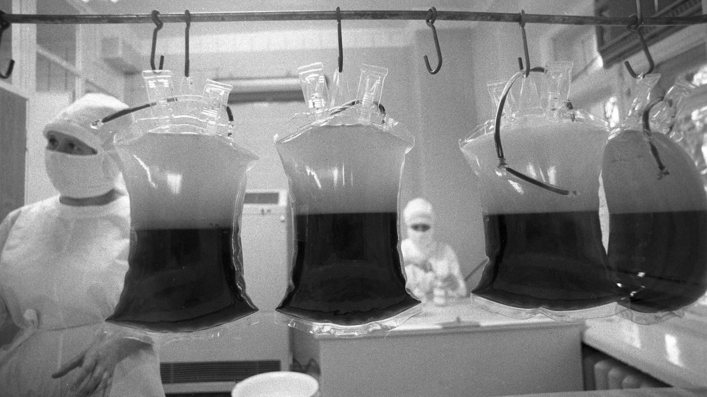 Beutel mit Thrombozytenkonzentrat in einem Moskauer Krankenhaus