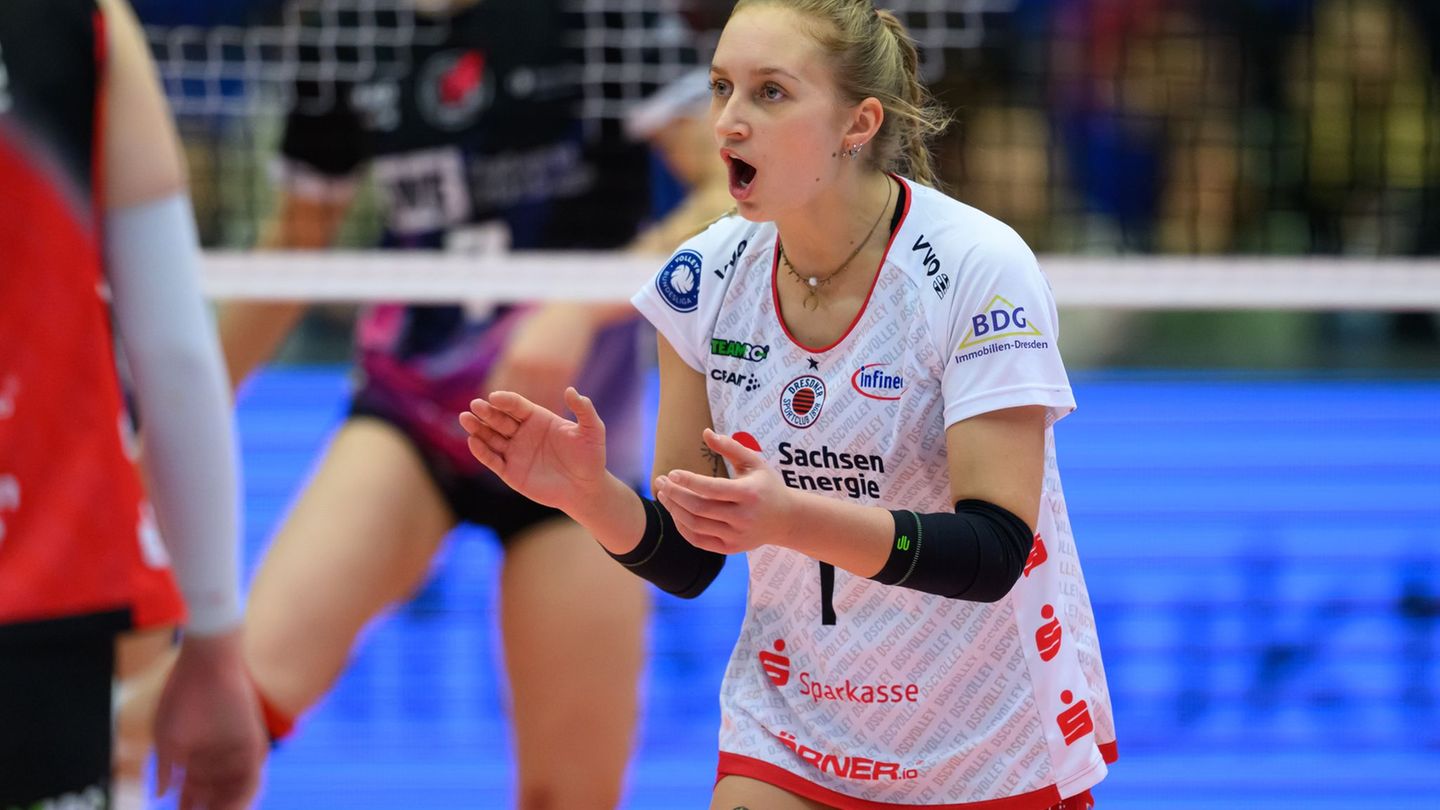 Bundesliga: Volleyballerinnen Nestler und Kuipers bleiben in Dresden