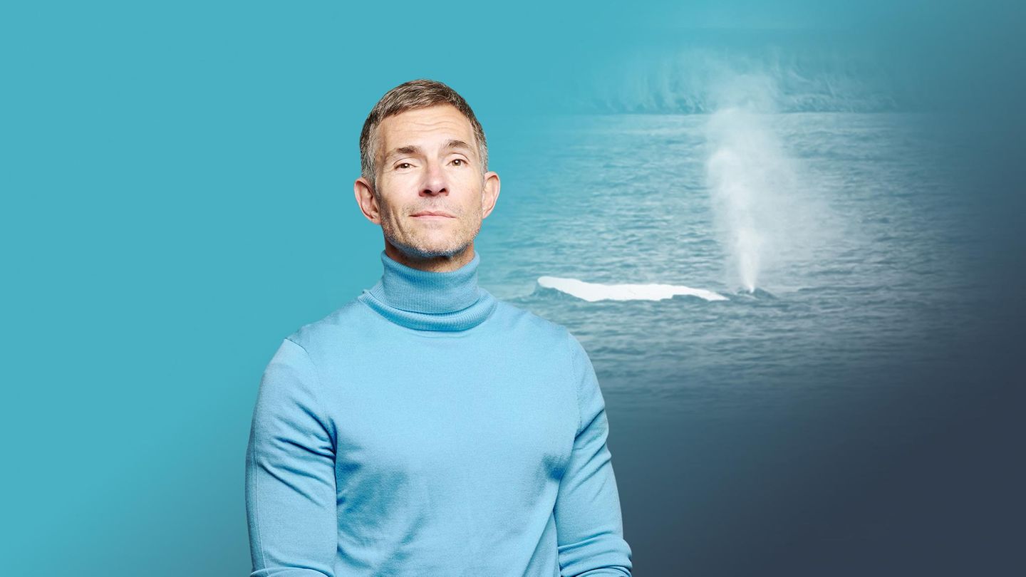 Montage zeigt Micky Beisenherz vor dem Wal Timmy mit Fontäne