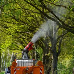 Bei der Bekämpfung werden Eichen mit einem Mittel besprüht, um die Raupen vor der Ausbildung ihrer Brennhaare abzutöten. (Symbol