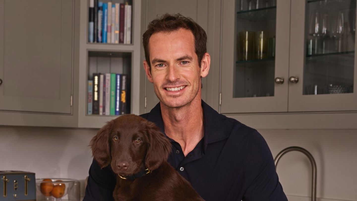 Andy Murray nach der Karriere: Familie, Hund Bonnie und neue Rollen