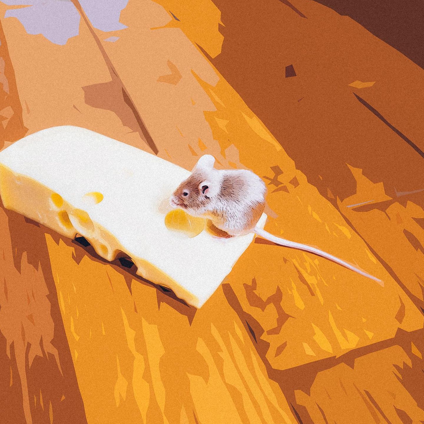 Eine Maus sitzt auf einem Stück Käse