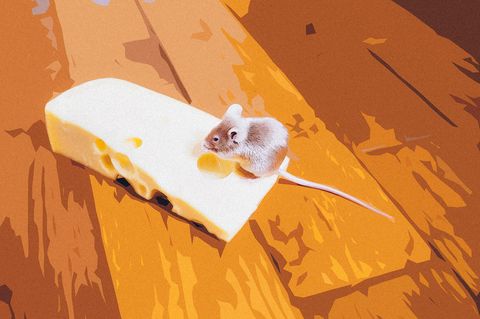 Eine Maus sitzt auf einem Stück Käse