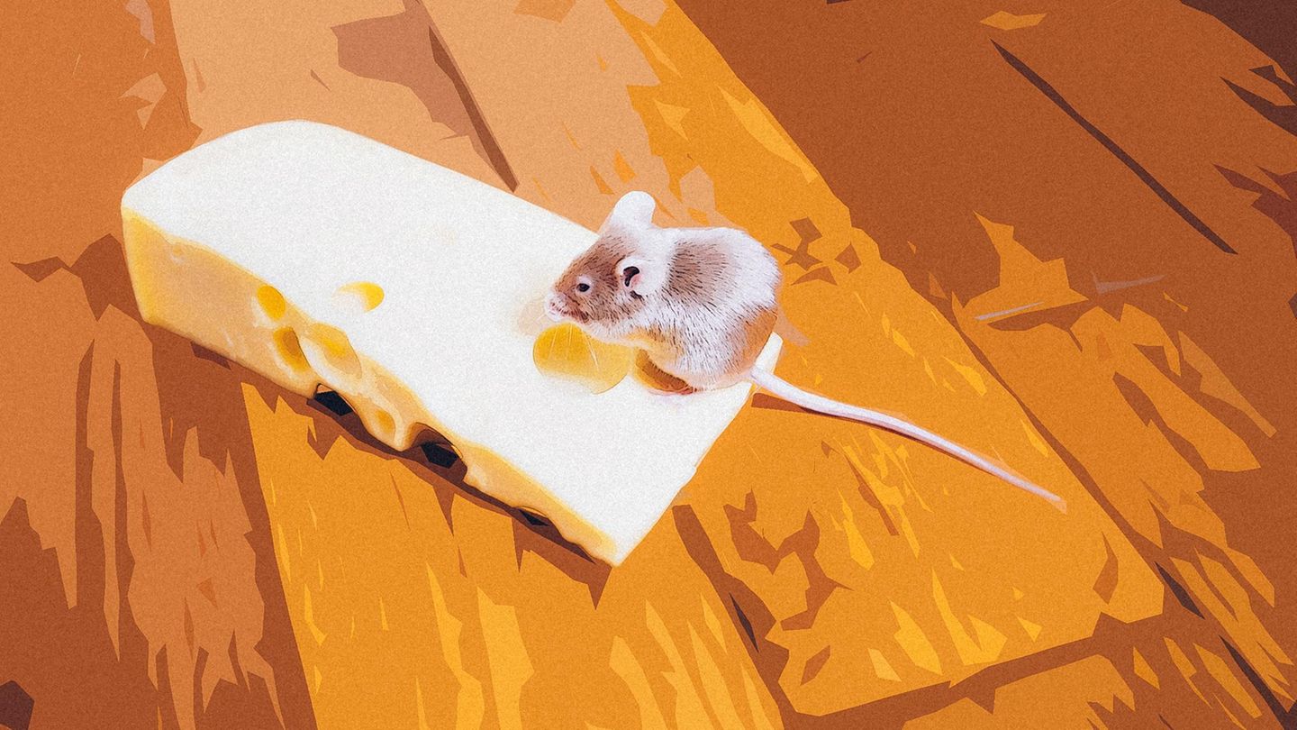 Serie: Fell, Liebe, Chaos: Wie mich eine Maus in die Fänge von Betrügern trieb