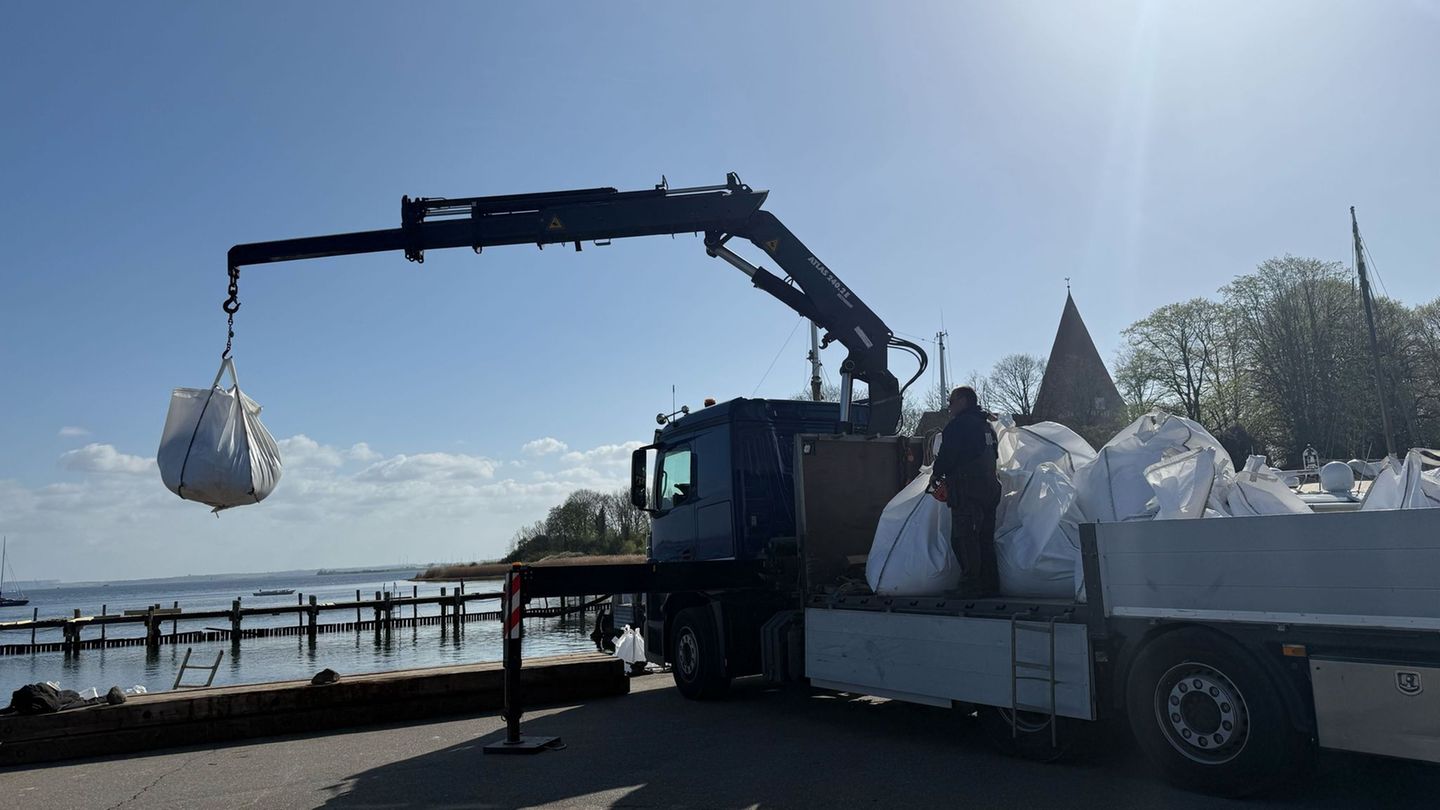 Gestrandeter Buckelwal: Sandsäcke für Barriere zwischen Wal und Flachwasser