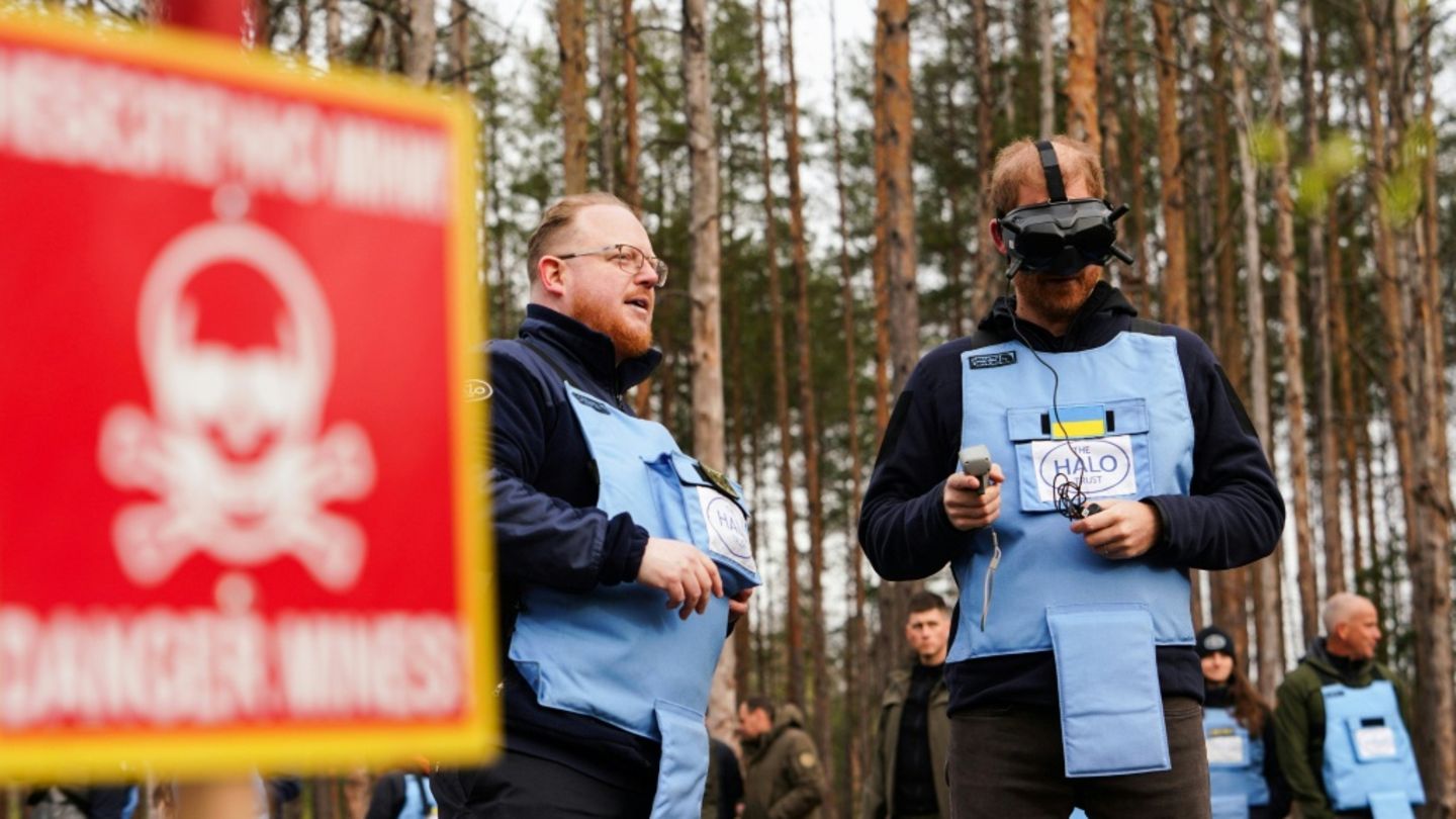 Prinz Harry in Butscha