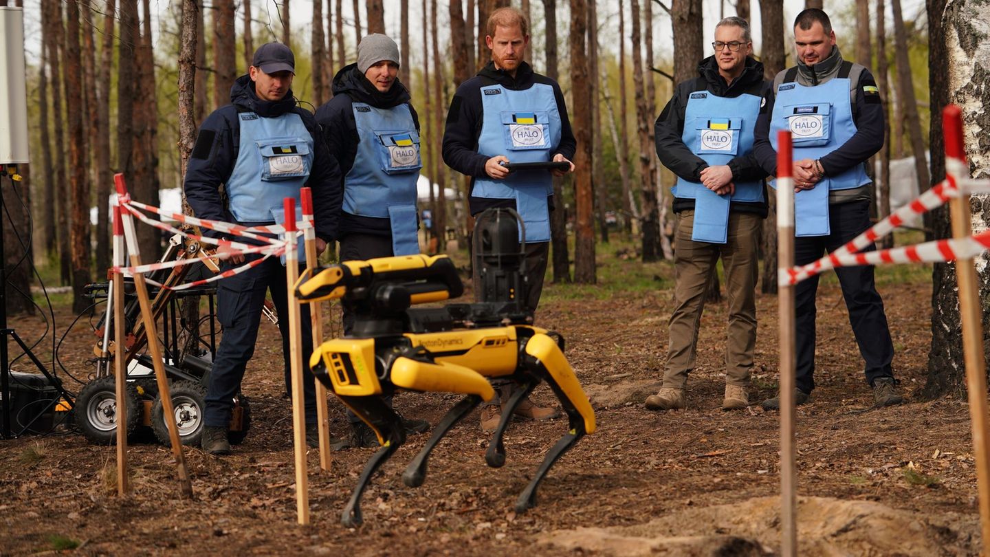 Krieg in der Ukraine: Prinz Harry gedenkt Opfern von Butscha