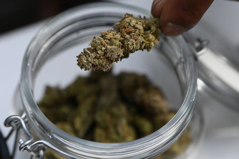 Mehr als sieben Kilo Marihuana stellte die Polizei bei dem Einsatz sicher. (Symbolbild) Foto: Michael Brandt/dpa