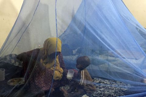 Wirksamer Schutz vor Malaria: Moskitonetze. (Archivbild) Foto: Eva-Maria Krafczyk/dpa