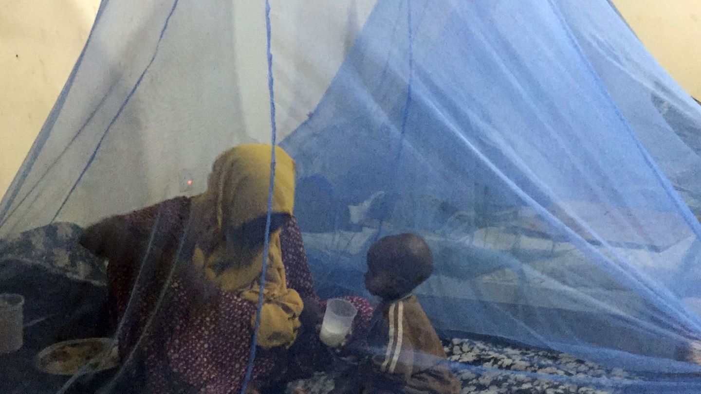 Wirksamer Schutz vor Malaria: Moskitonetze. (Archivbild) Foto: Eva-Maria Krafczyk/dpa