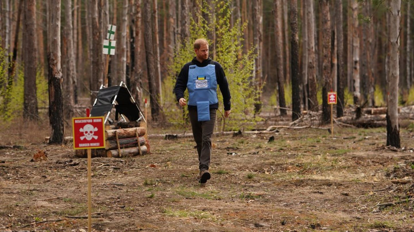 Prinz Harry in der Ukraine: "Ich werde immer Teil der Royal Family sein"