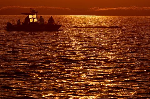 Bis in die Abendstunden arbeiteten die Helfer am Wal. Foto: Jens Büttner/dpa