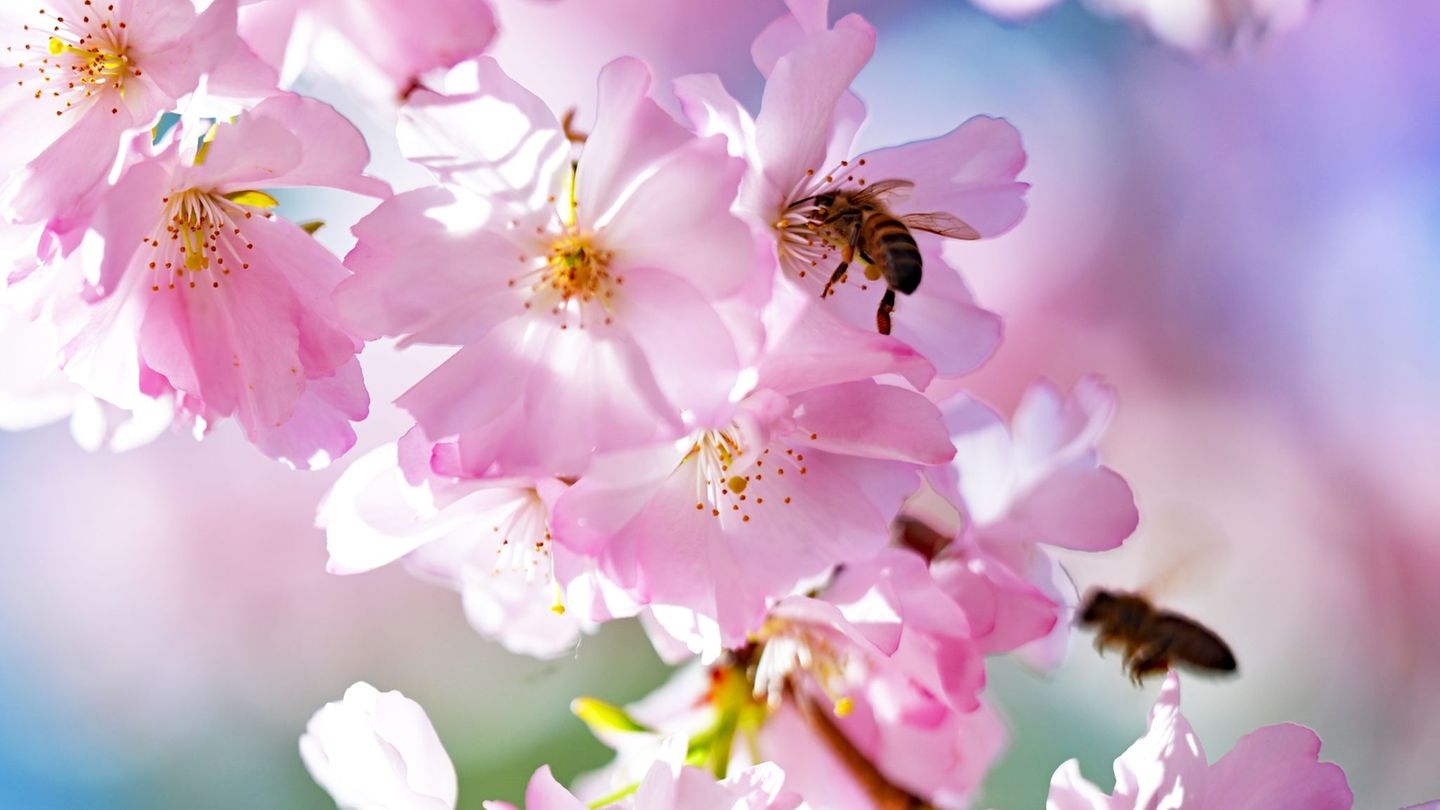 Wetter: Sonne satt am Samstag