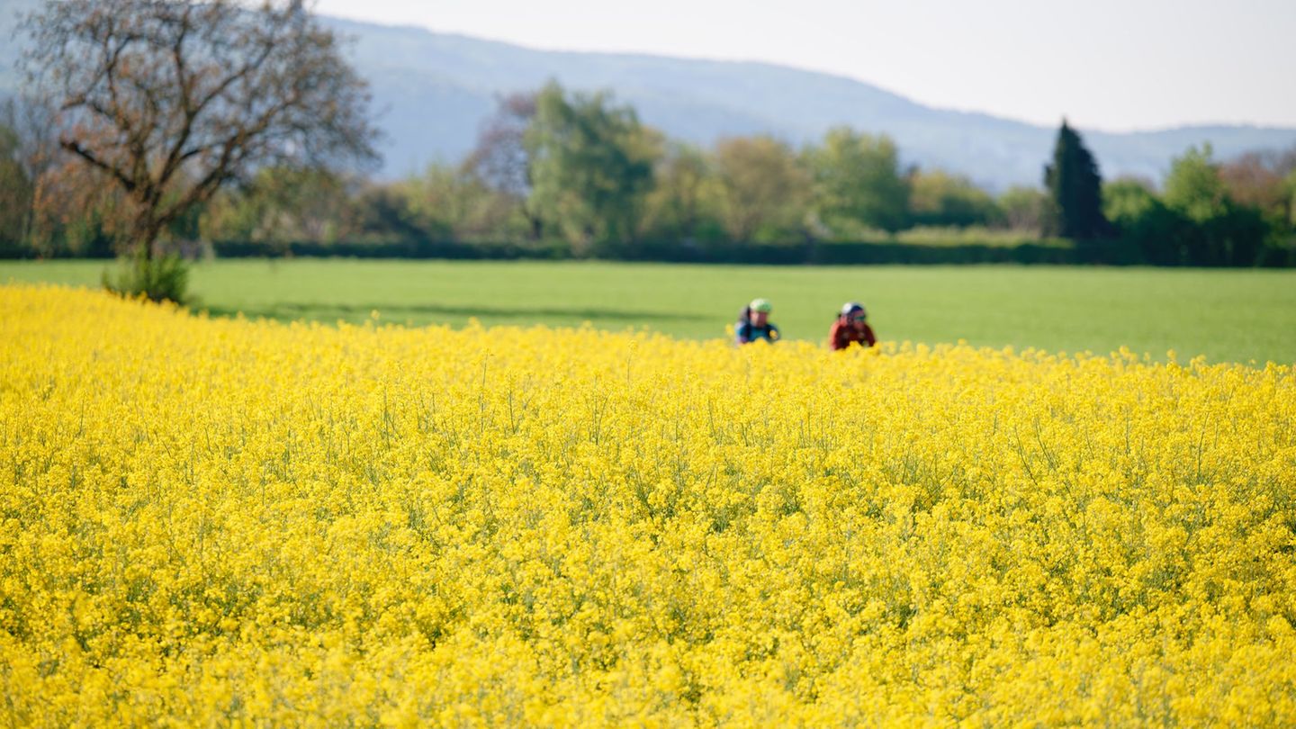 Wetter: Sonniges Wochenende im Südwesten