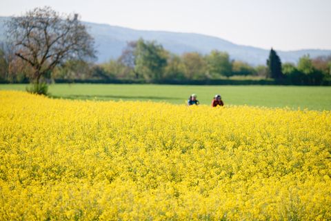 Laut Vorhersagen erreichen die Temperaturen am Samstag bis zu 23 Grad, im Rheintal können es auch jenseits 25 Grad werden. (Arch