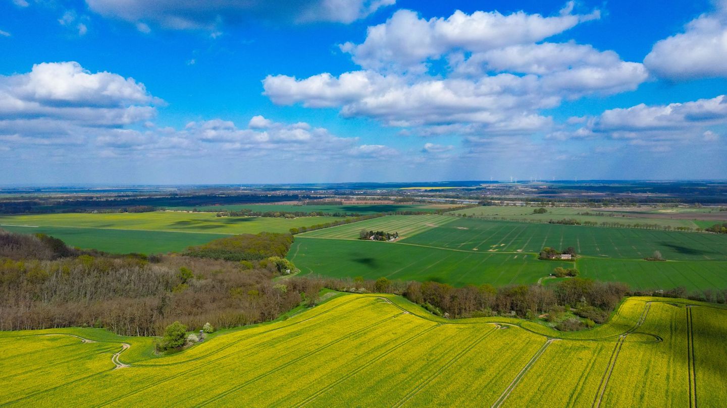 Wetter: Sonniges Frühlingswochenende in Berlin und Brandenburg
