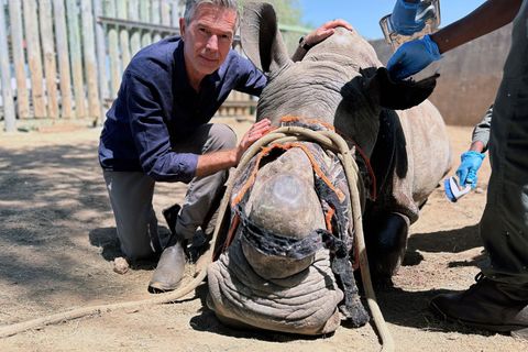 Hautnah bei den Tieren: Dirk Steffens besuchte für seine erste Doku der ARD-Reihe "Erlebnis Erde" den Kruger-Nationalpark in Südafrika.