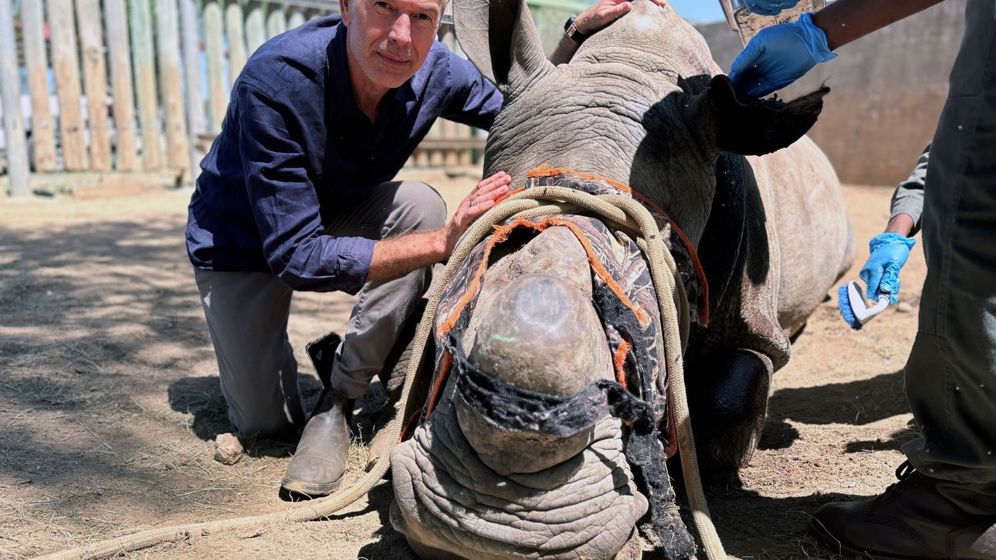 Hautnah bei den Tieren: Dirk Steffens besuchte für seine erste Doku der ARD-Reihe "Erlebnis Erde" den Kruger-Nationalpark in Südafrika.