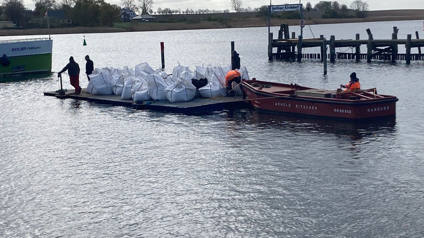 Hilfsaktion für Buckelwal: Sandsäcke sollen Wal vom Flachwasser abhalten