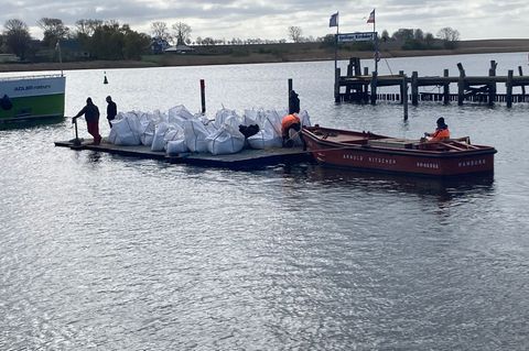 Big Bags auf dem Weg zum gestrandeten Buckelwal. Foto: Helmut Reuter/dpa