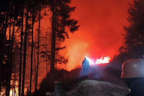In Österreich steht eine Fläche von 110 Hektar in Flammen. Foto: Unbekannt/FF LIESING/dpa