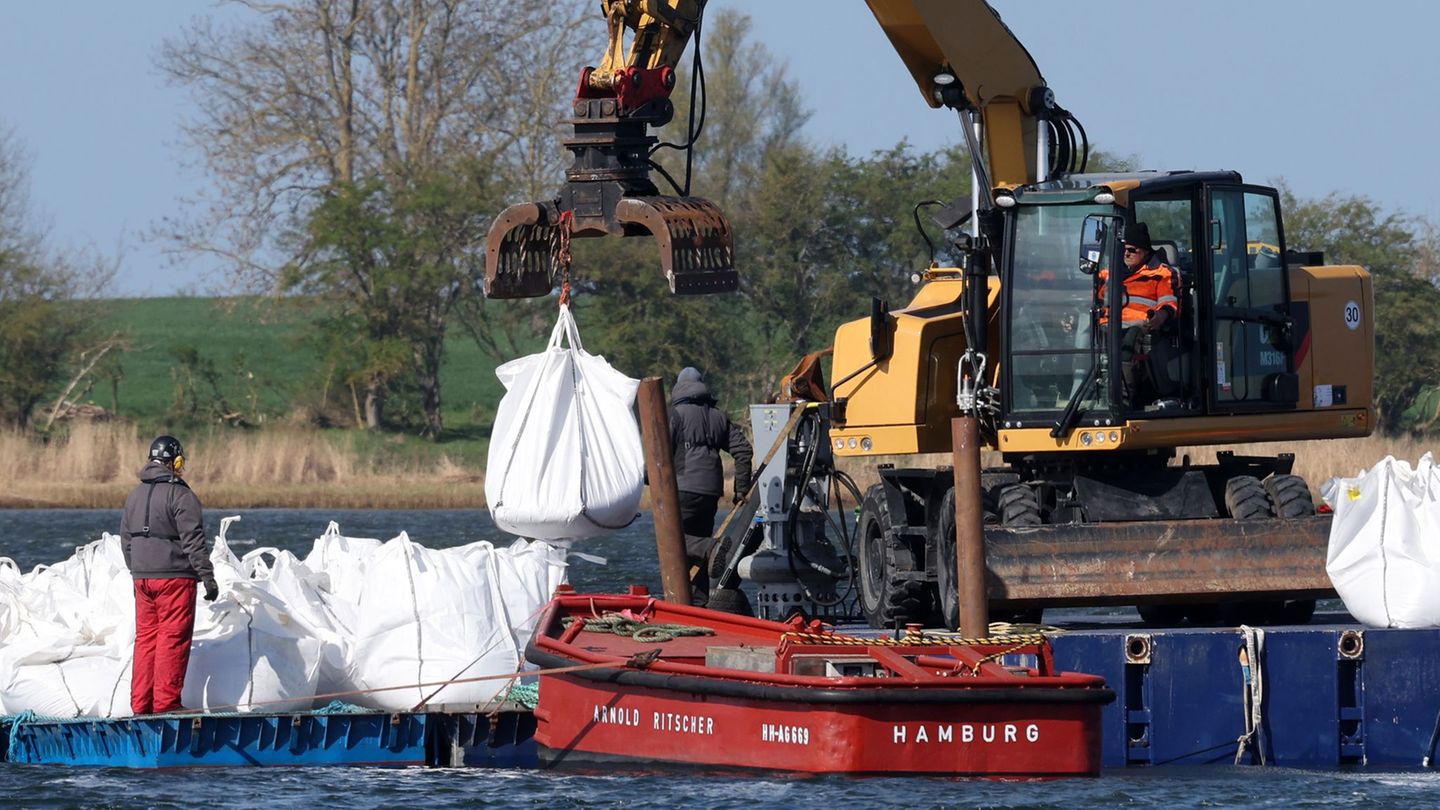 Eine Barriere aus großen Sandsäcken soll das Walverhalten beeinflussen. Foto: Bernd Wüstneck/dpa