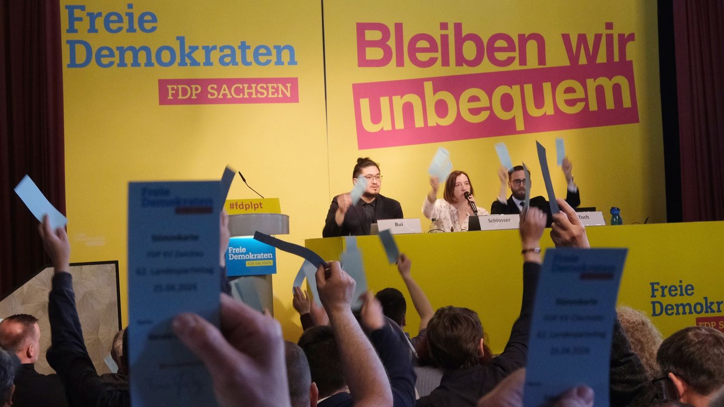 Landesparteitag: FDP Sachsen fordert radikalen Umbau bei Steuern und Abgaben