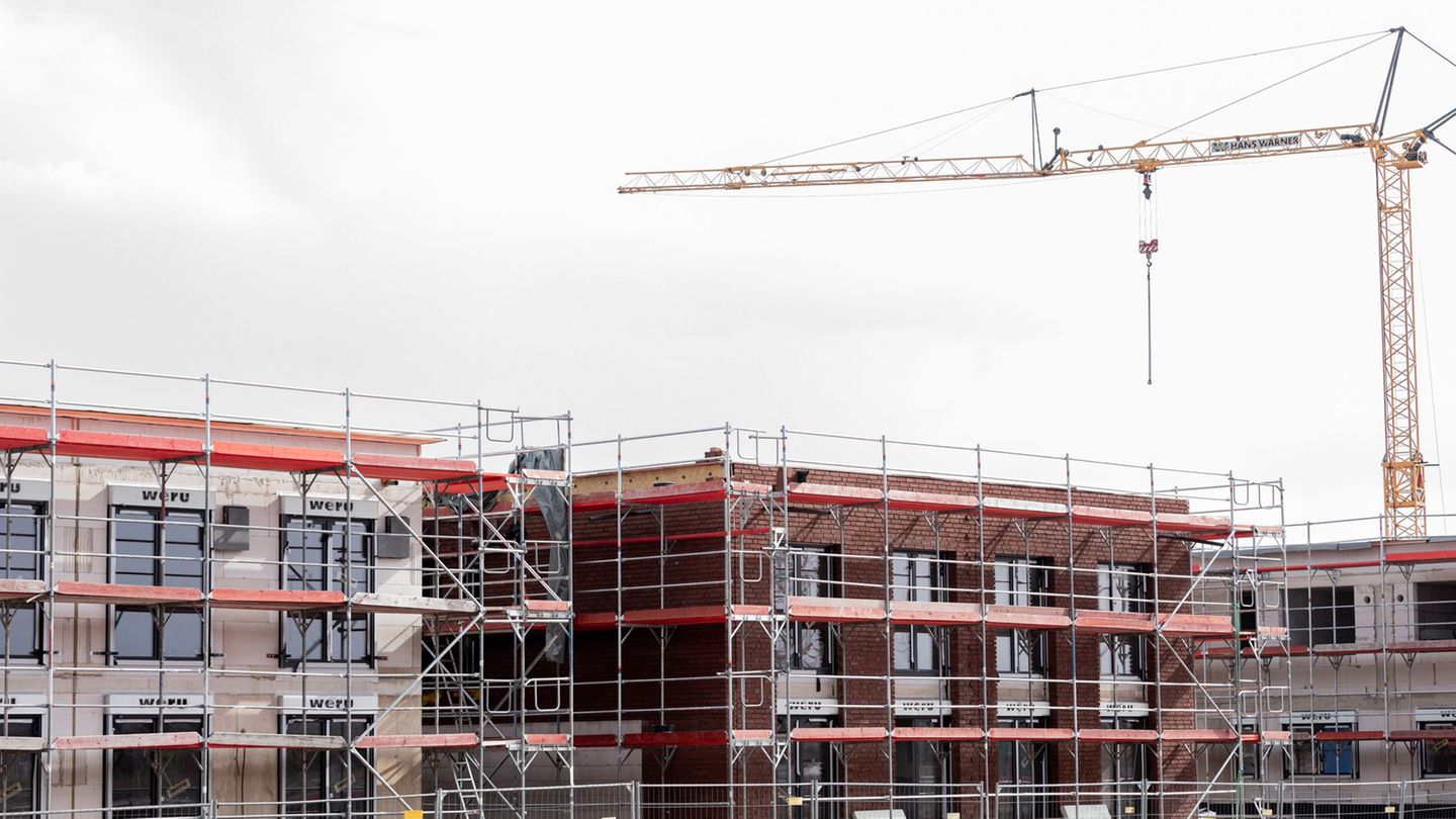 Kommunale Wohnungsunternehmen: Mieterbund schlägt Landesbeteiligung über einen Fonds vor