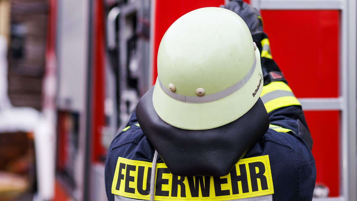 Die Feuerwehrleute mussten auf Leitern mit speziellen Löschrucksäcken die Flammen bekämpfen. (Symbolbild) Foto: Philipp von Ditf