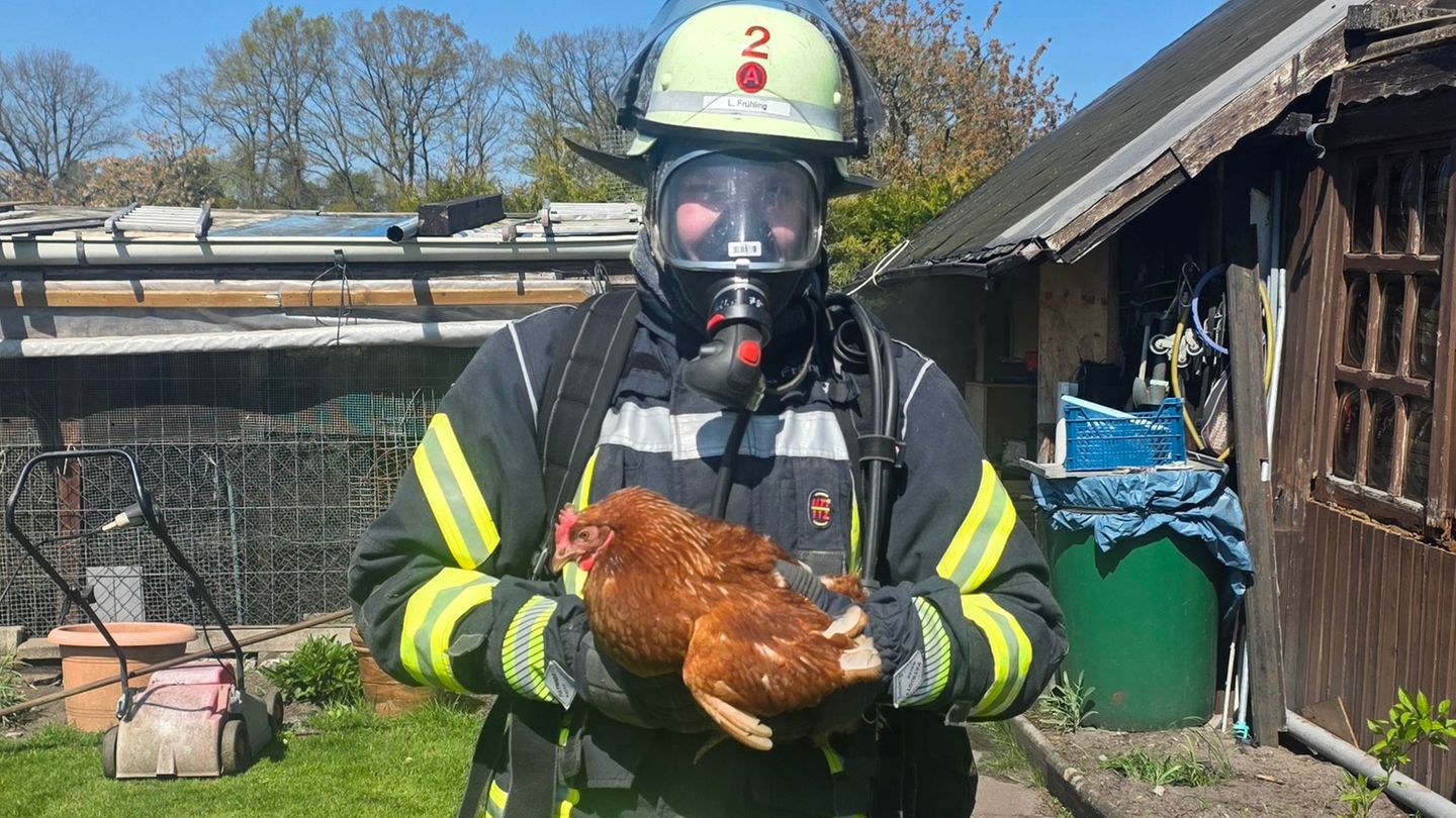 Einsatz: Feuerwehr rettet Hühner vor den Flammen