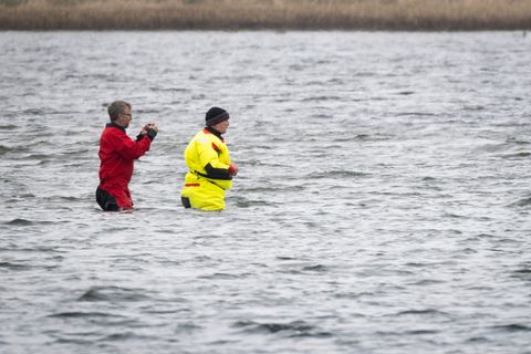 Till Backhaus läuft zum Buckelwal Foto: Philip Dulian/dpa