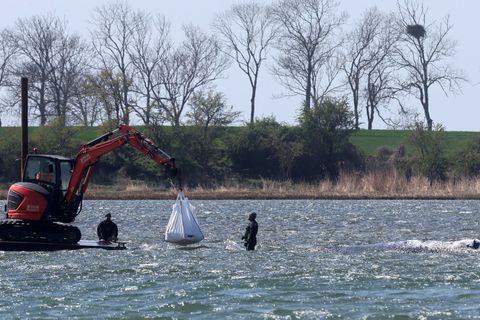 Das neue Konzept der Privatinitiative wird geduldet. Foto: Bernd Wüstneck/dpa