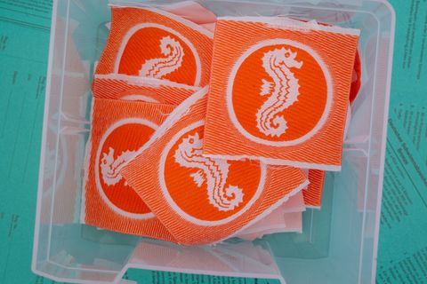 552 Mal wurde 2025 das Seepferdchen an junge Schwimm-Lehrlinge vergeben. (Symbolbild) Foto: Peter Kneffel/dpa