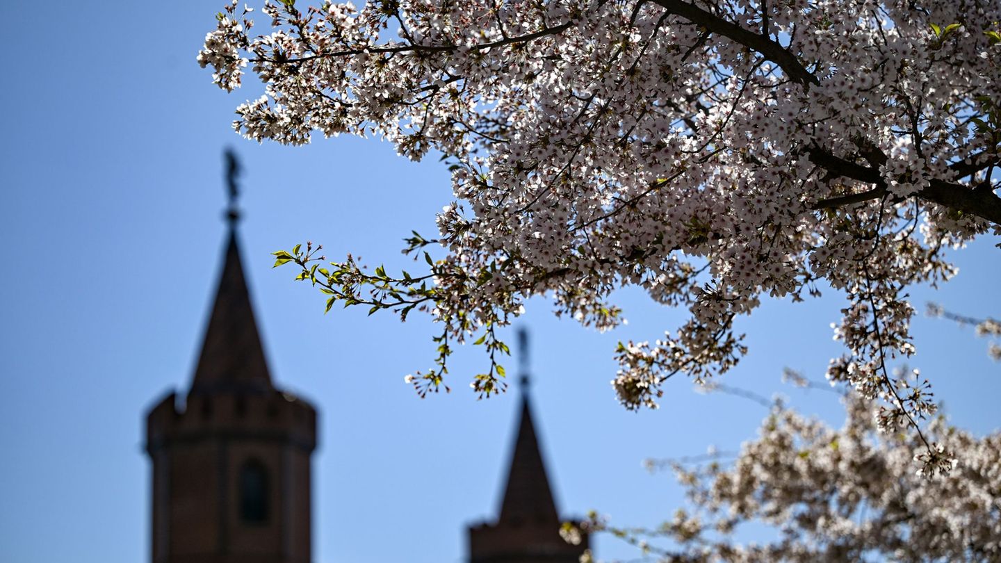 Wetter: Sonniger Sonntag, Nächte bleiben frostig