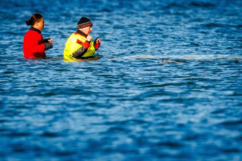 Umweltminister Till Backhaus war auch am Sonntag wieder direkt am Wal. Foto: Jens Büttner/dpa