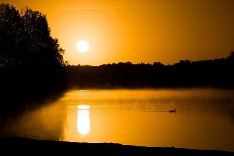 In den kommenden Tagen gibt es viel Sonne und frühlingshafte Temperaturen in Niedersachen und Bremen. Foto: Moritz Frankenberg/d
