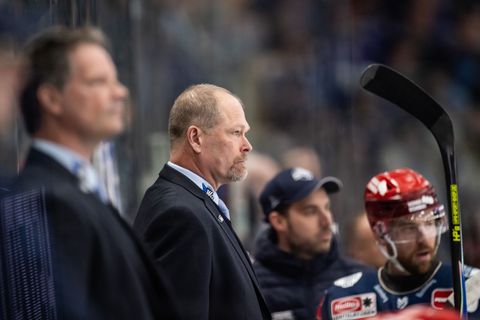 Bekommt einen neuen Schlussmann: Wild-Wings-Coach Steve Walker. (Archivbild) Foto: Silas Stein/dpa