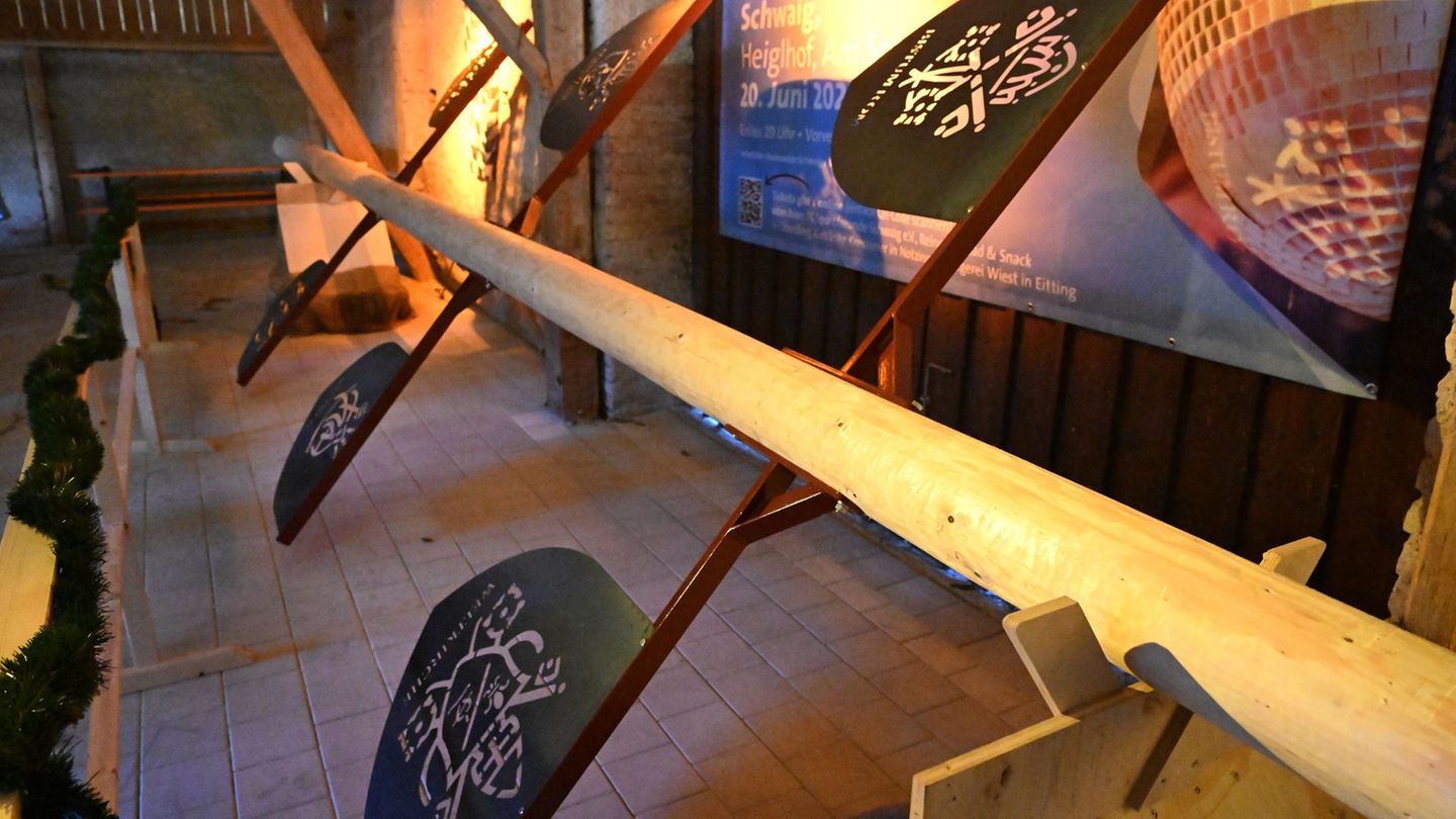 Das ist er nun: Der echte Maibaum für Rom. Foto: Felix Hörhager/dpa