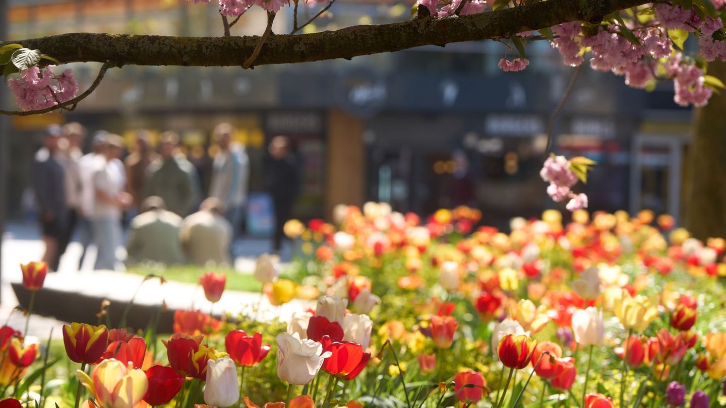 Wetteraussichten: Heiteres Frühlingswetter setzt sich in neuer Woche fort